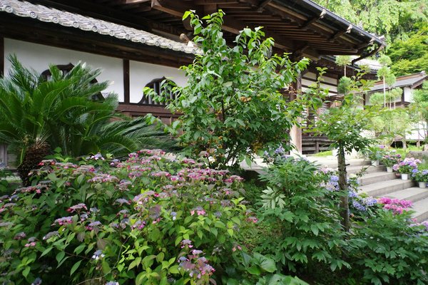 How to Plan a Sensory Garden for Visually Impaired Individuals in the UK?